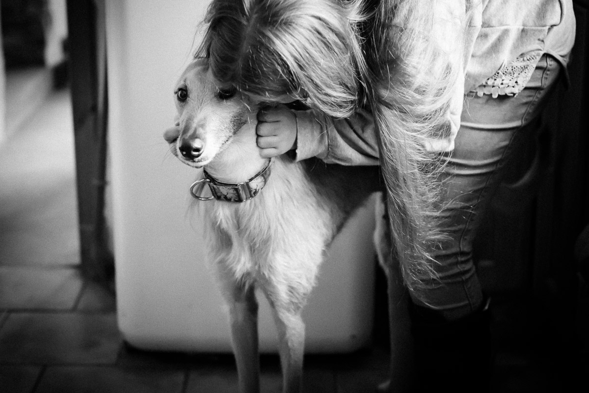 Teenage girl cuddling dog in Berwick-upon-Tweed